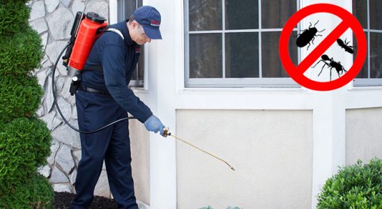 Hisarcık Dezenfeksiyon böcek ilaçlama ve haşere kontrolü — ilaclama-tr.com